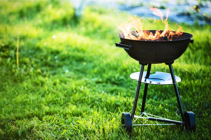 Barbecue Grill With Fire On Nature, Outdoor, Close Up