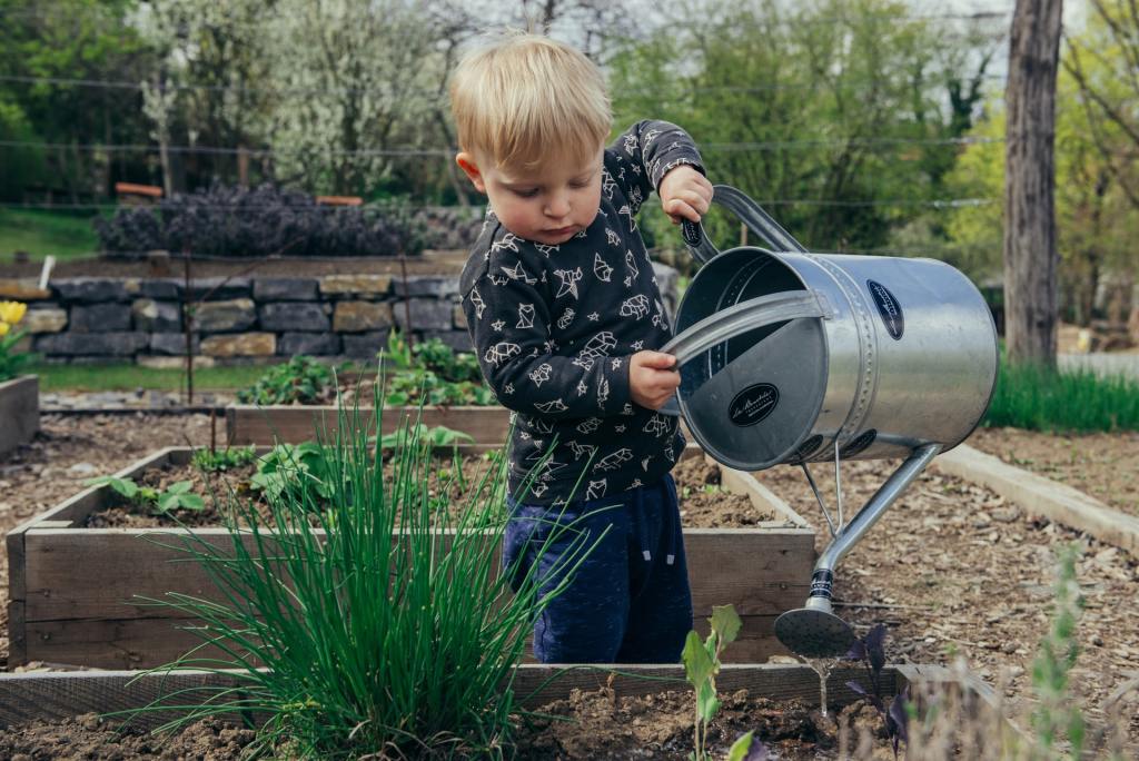 Child watering plants