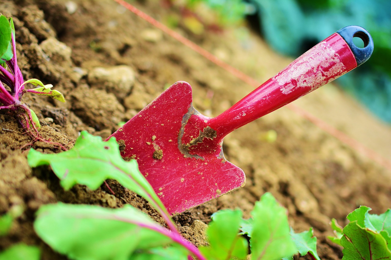  You can clean your garden tools with vinegar — heres how