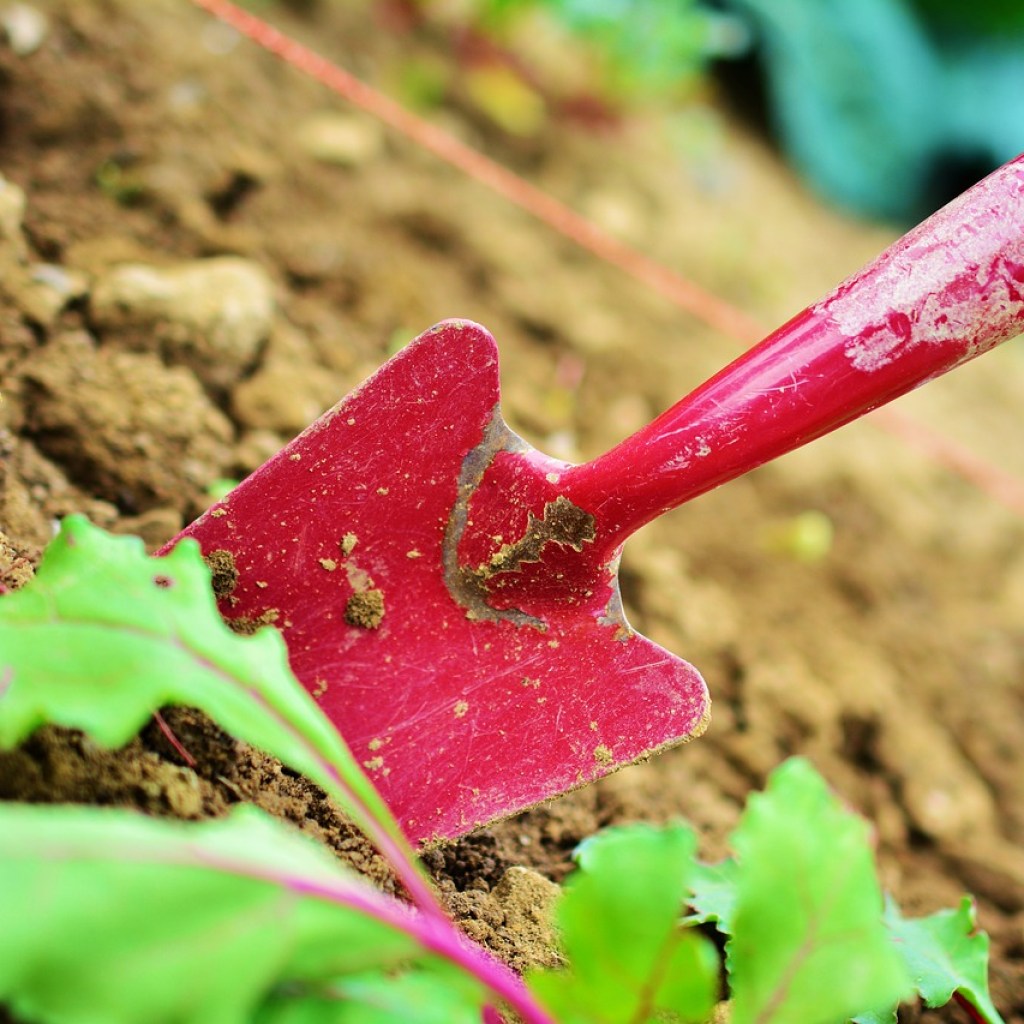 A small, dirty, red garden shovel stuck partway into the dirt