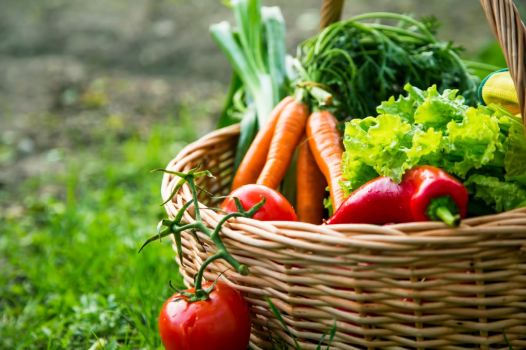 A basket of freshly harvested vegetables