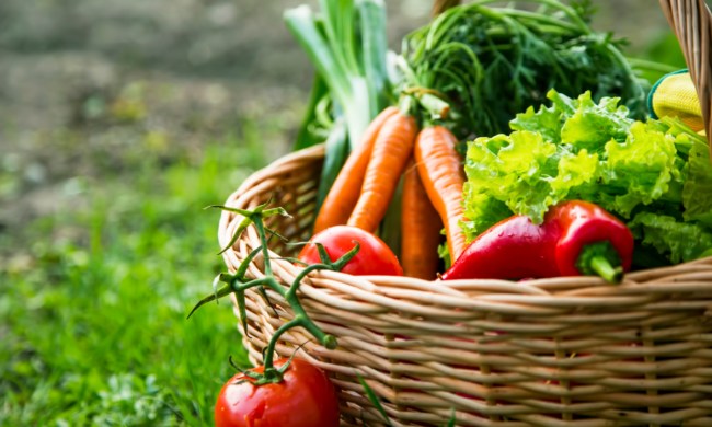 A basket of freshly harvested vegetables