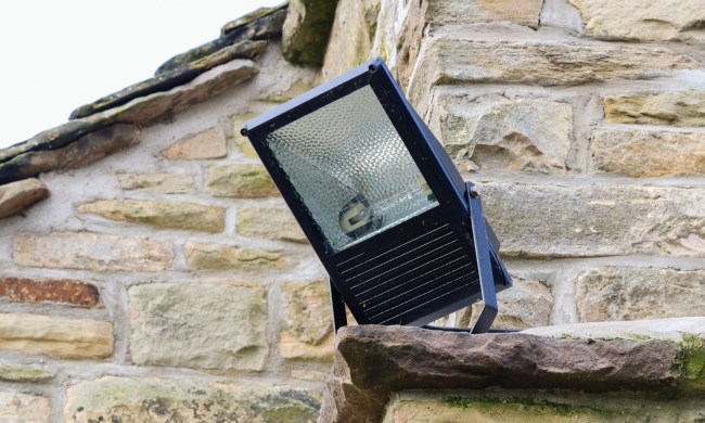 Outdoor home security light