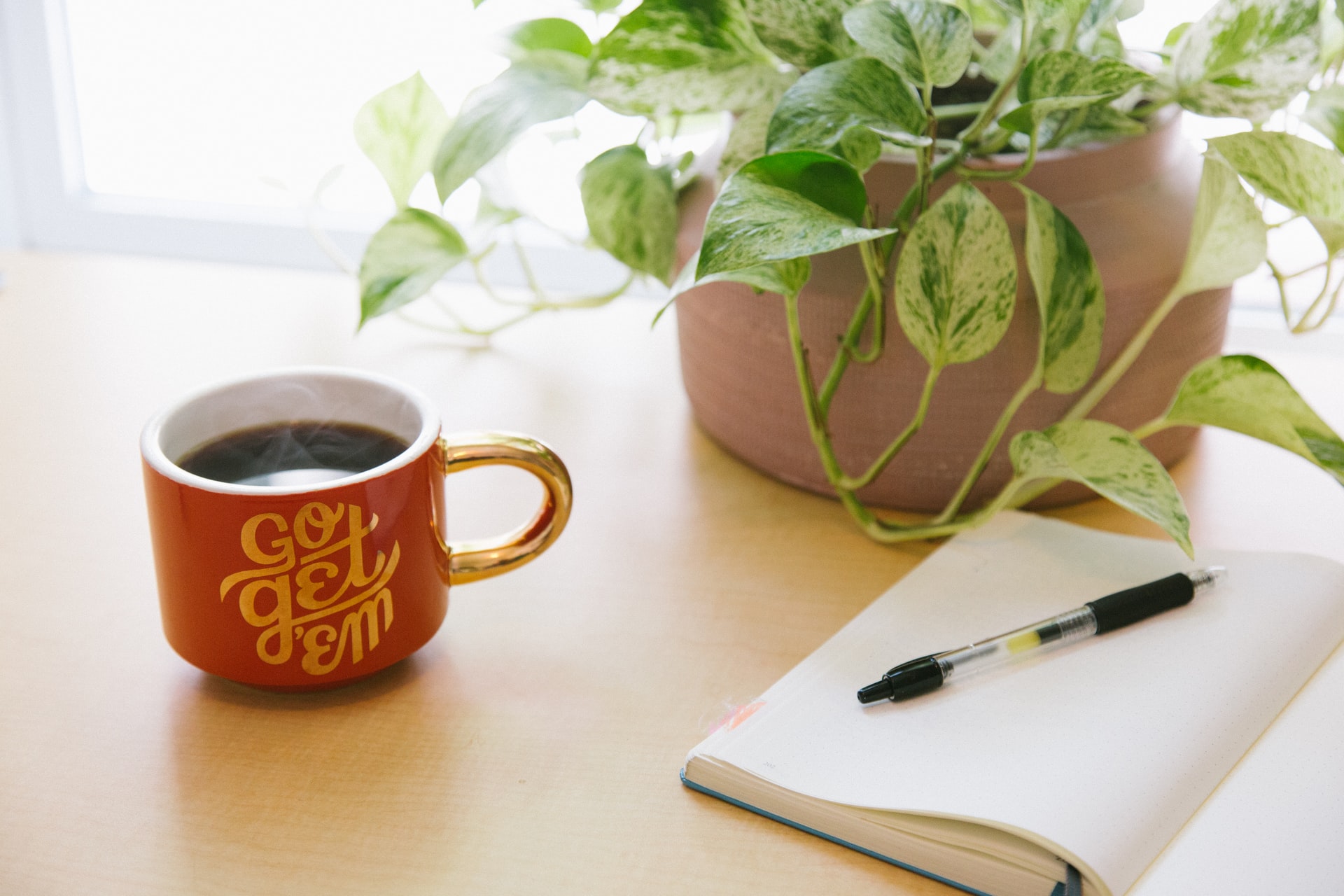Variegated pothos plant on a desk with a cup of coffee and a notebook