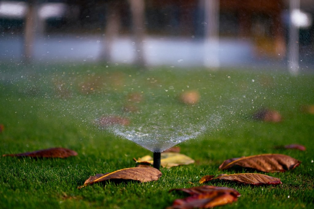A small lawn sprinkler spraying water
