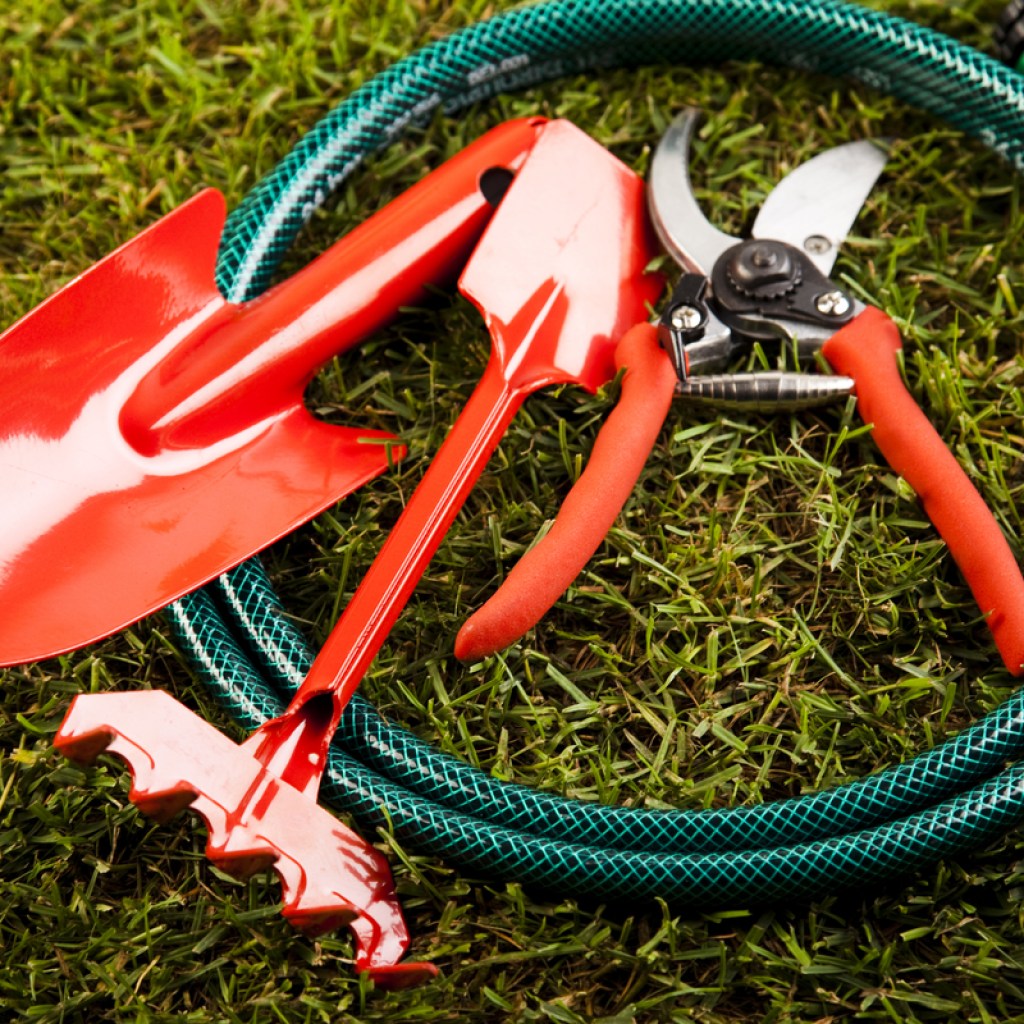 Shiny red gardening tools and a dark green watering hose