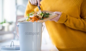 Person adding vegetable scraps to a compost container