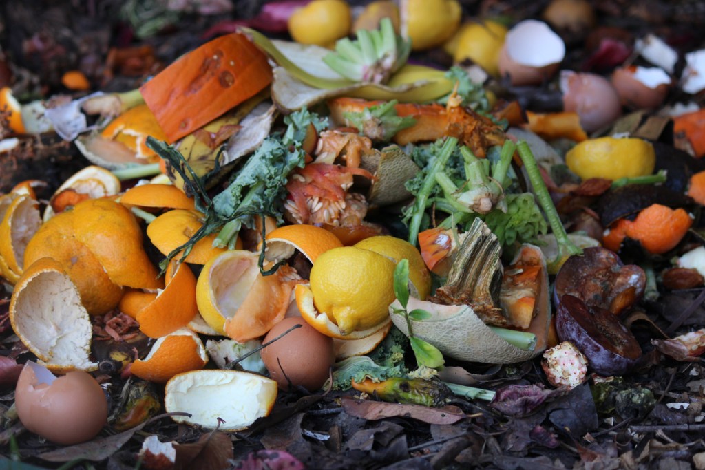 A pile of composting vegetable scraps and egg shells.