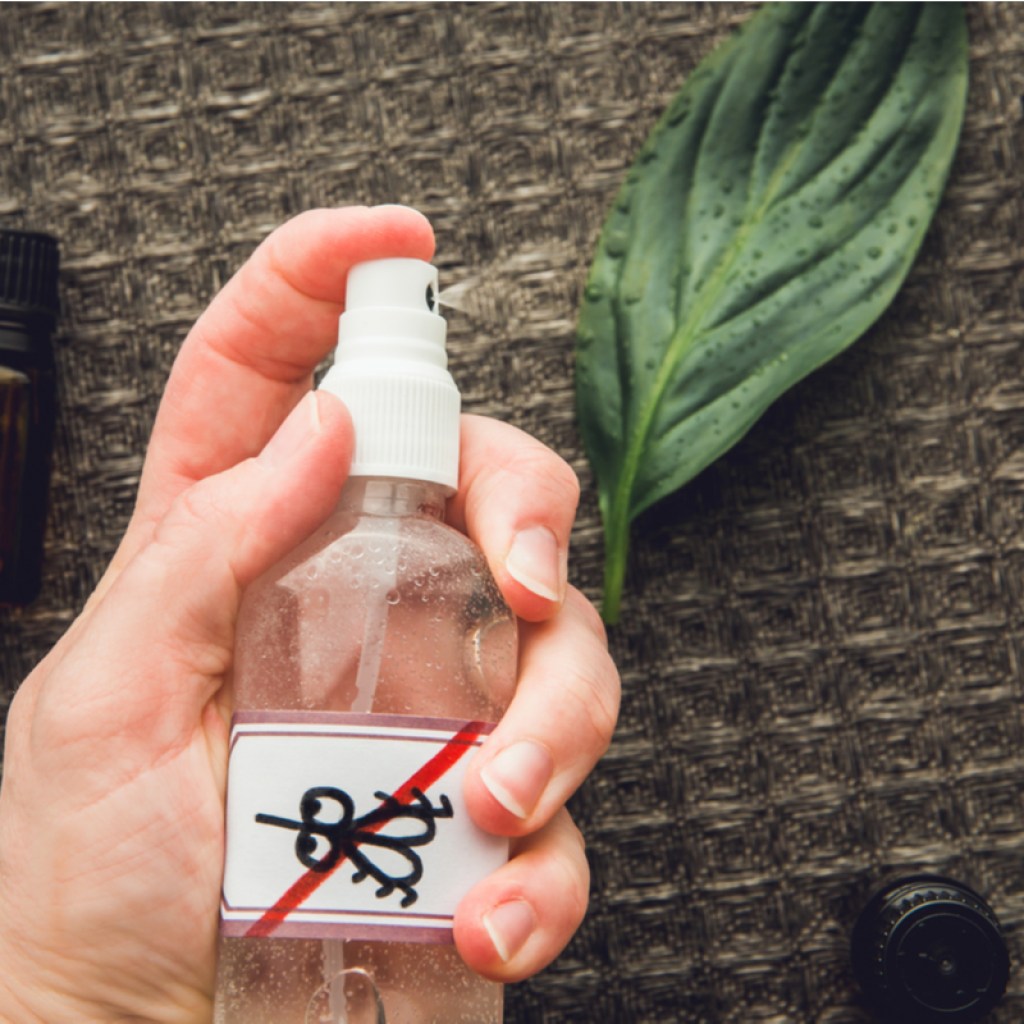Hand holding a spray bottle