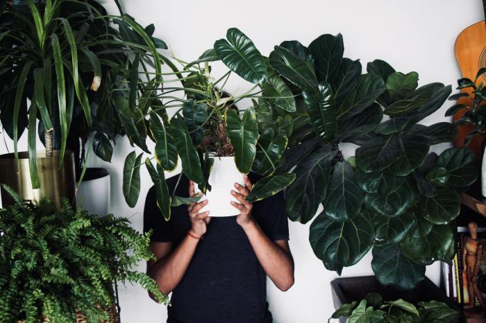 Person with houseplant