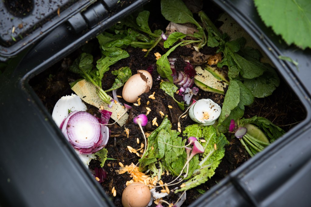 A compost bin with vegetable scraps and egg shells