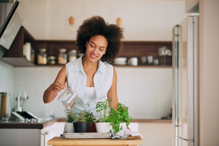 woman watering herb plants on a kitchen counter