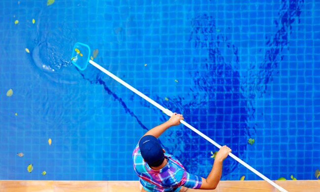 Man Cleaning Leaves From Pool