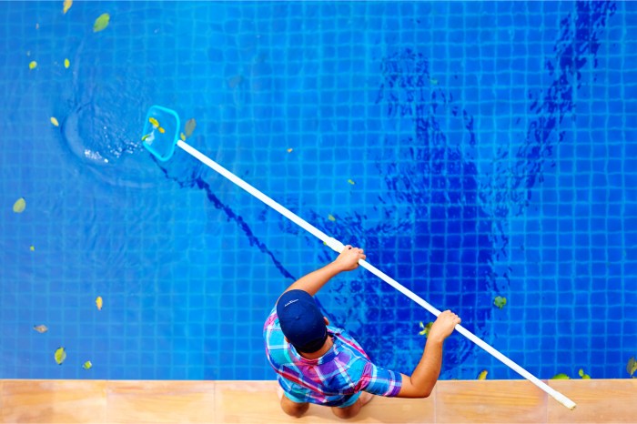Man Cleaning Leaves From Pool