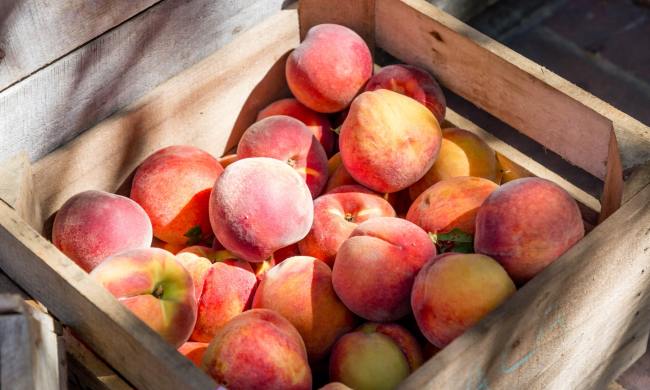Peaches in a container