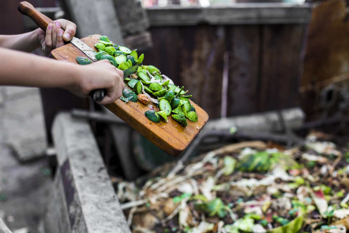 A person composting greens