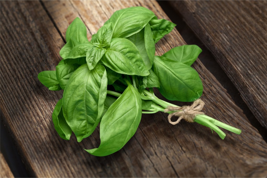 Bundle of sweet basil on a wooden tabletop