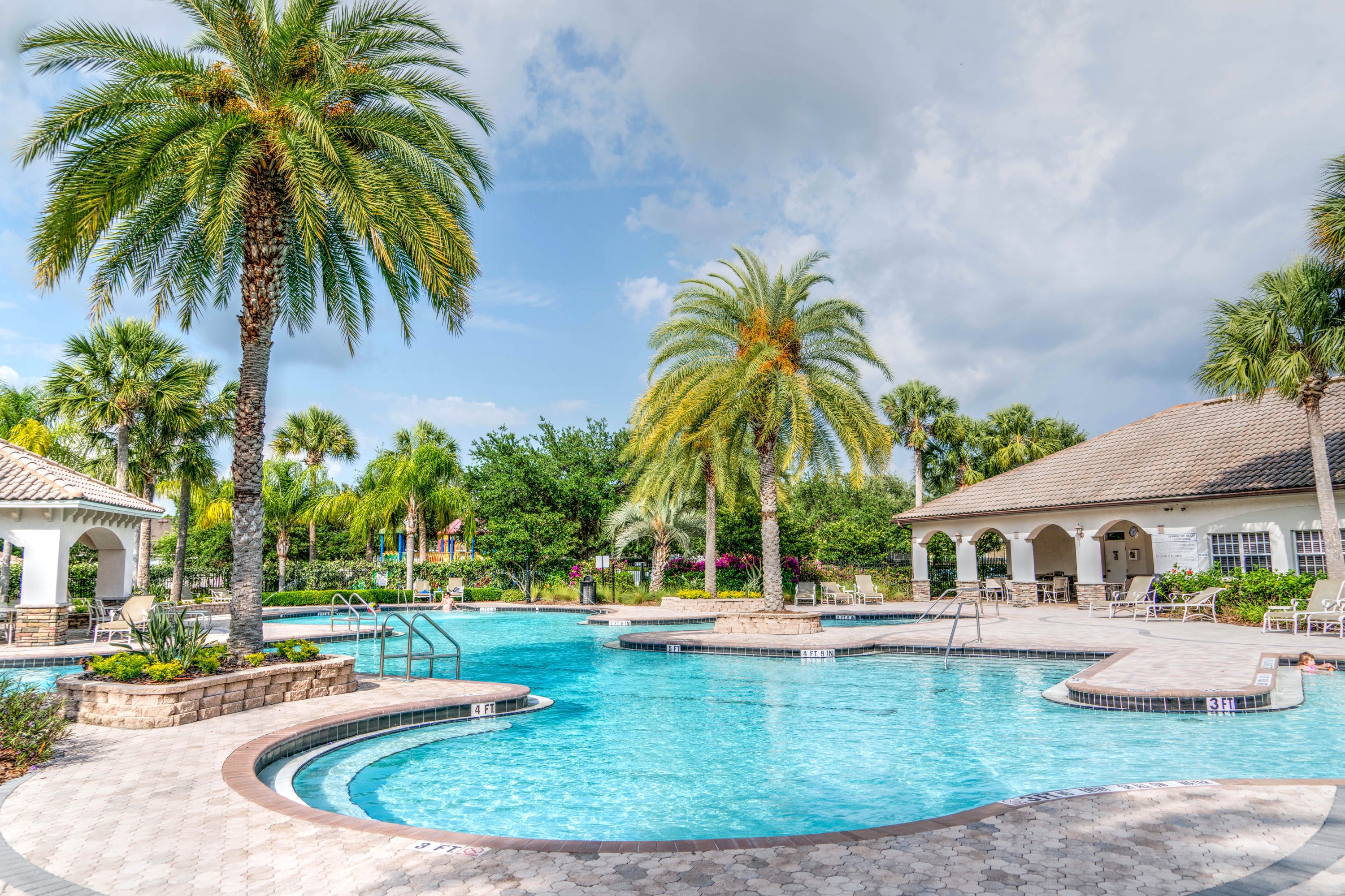 Swimming Pool With A Tropical Theme