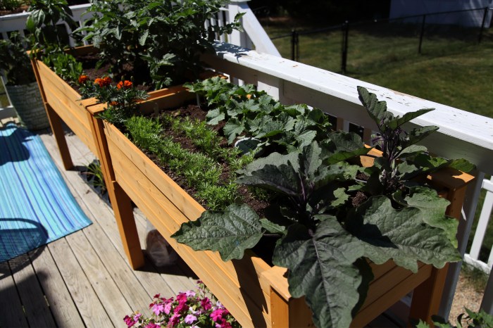 thriving deck vegetable garden ideas on
