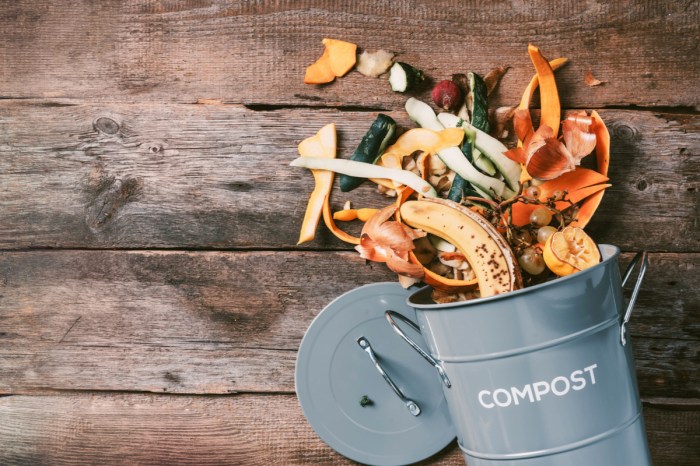 A bucket of compost scraps