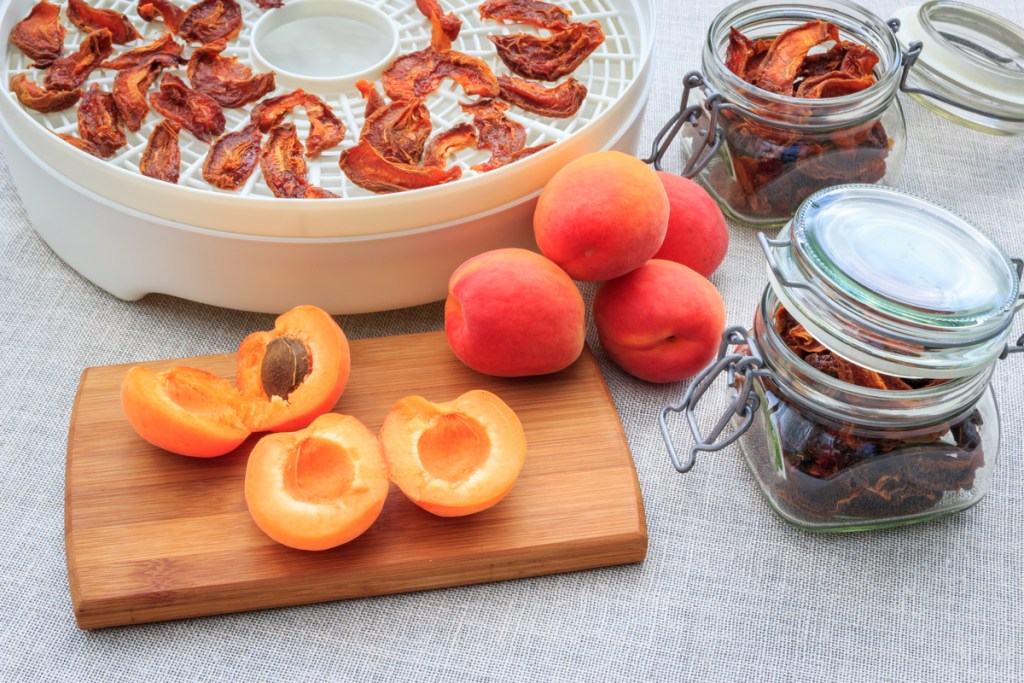 Peaches slices and being put in a food dehydrator