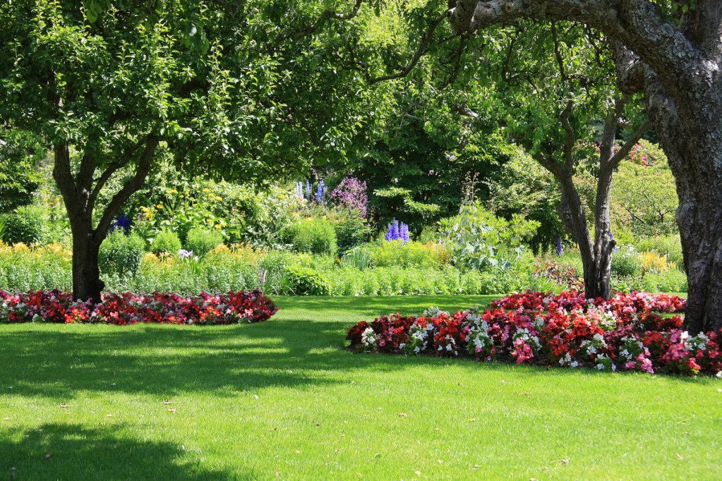 Manicured lawn with flower beds beneath shade trees