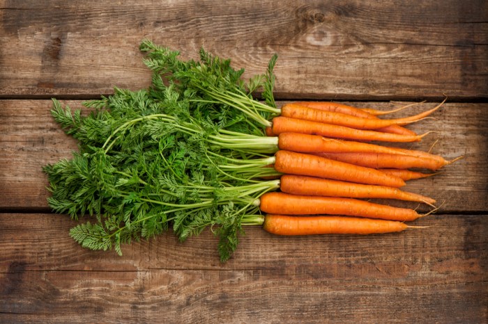 A bundle of fresh carrots