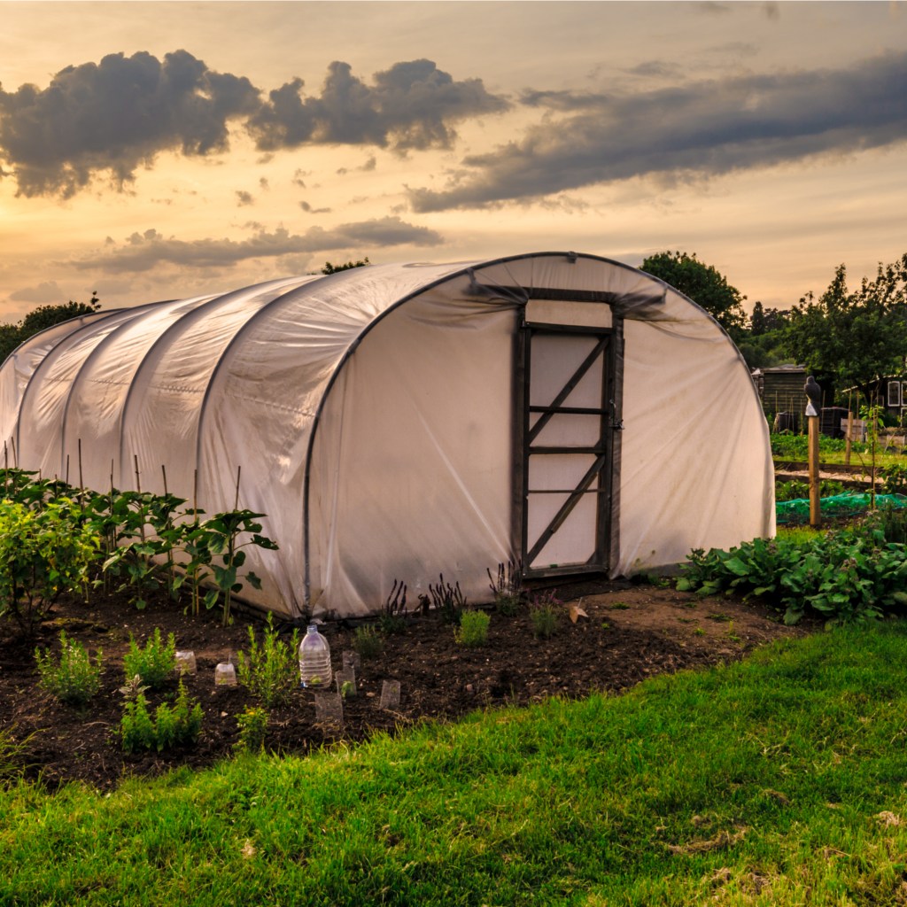 Exterior of polytunnel in a planted field