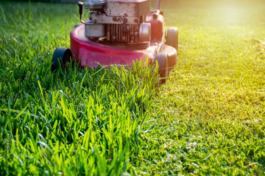 A person mowing their lawn