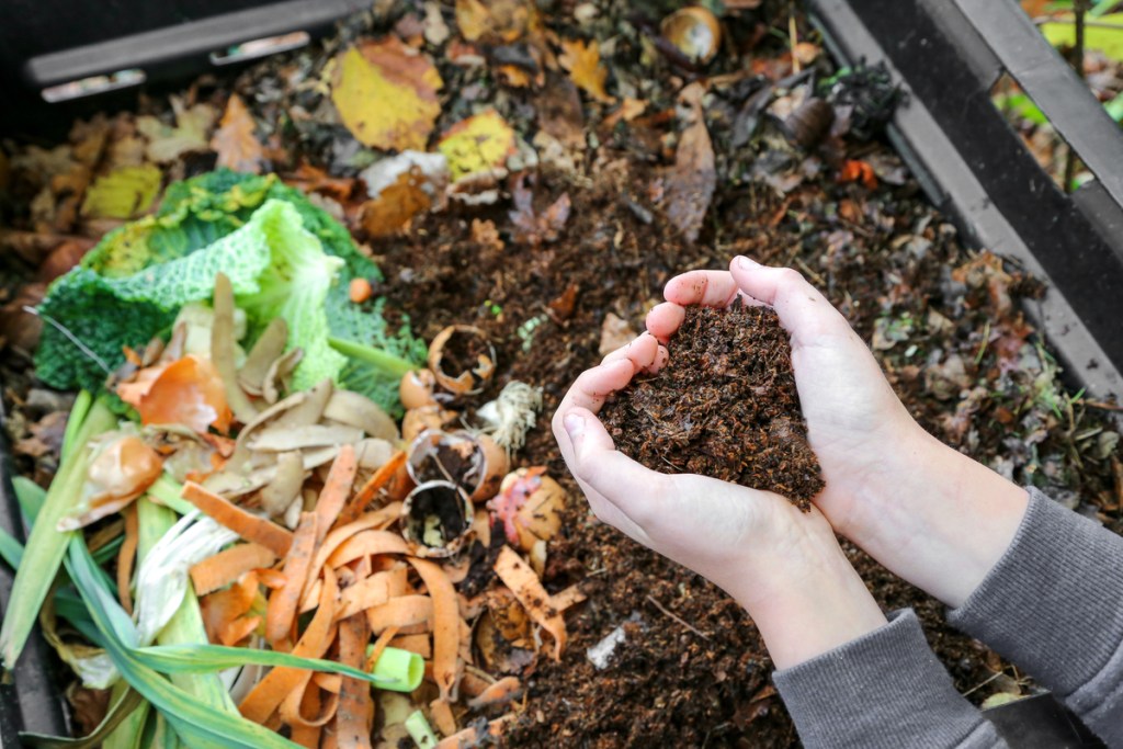 A person holding compost in their hands