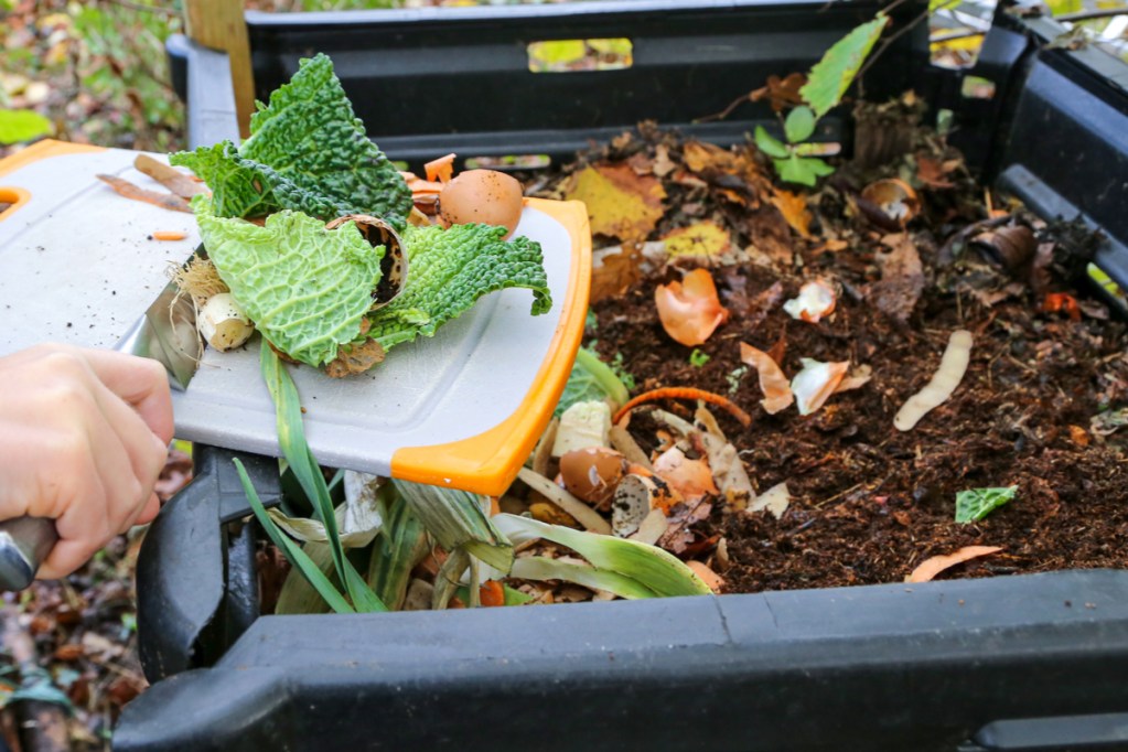 Turning scraps to compost