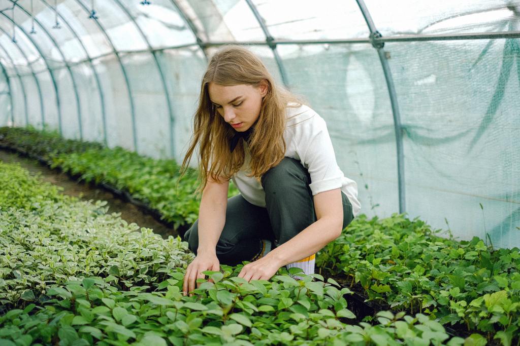 Woman working with green plants