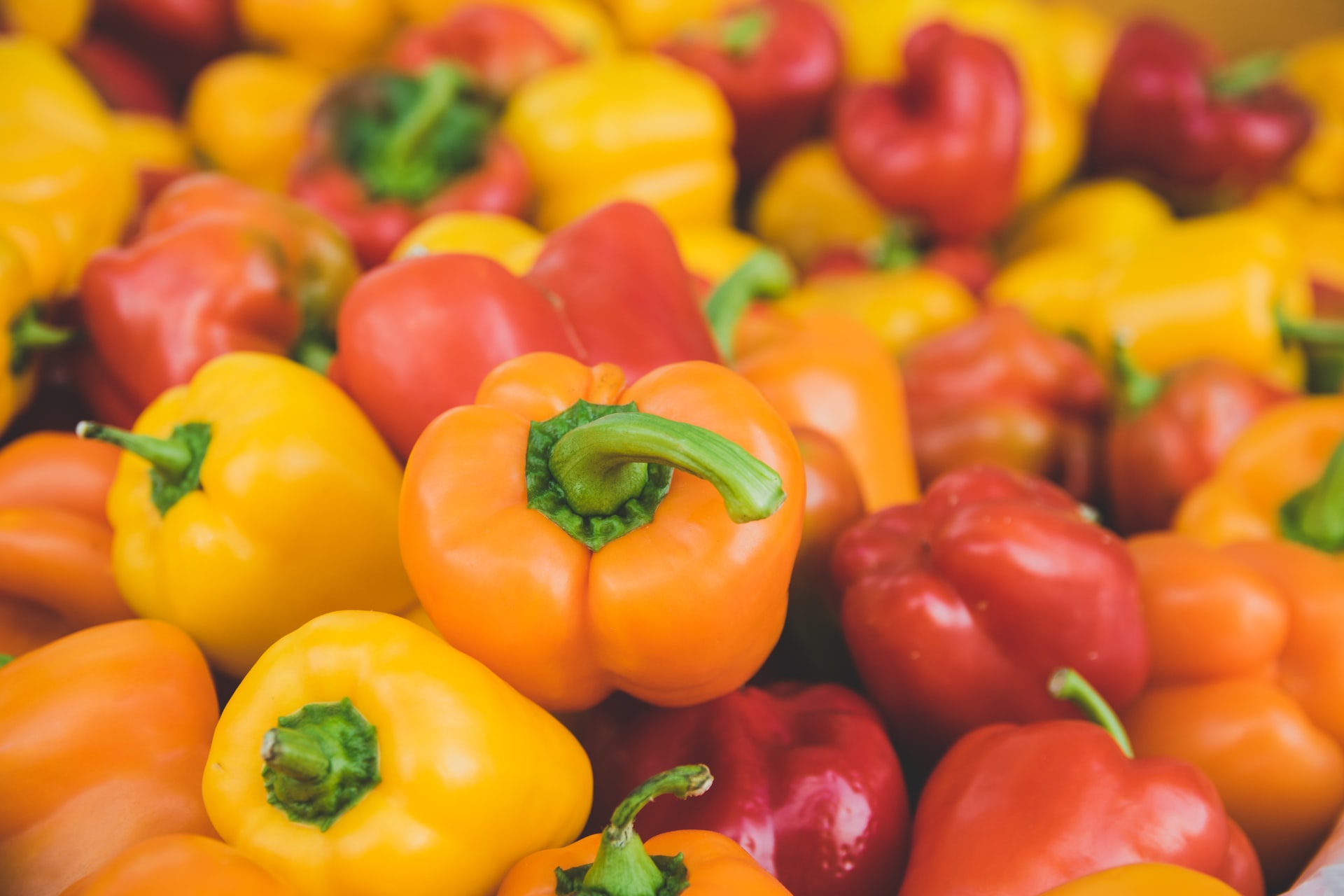  Your guide to growing bell peppers, a tasty addition to any vegetable garden
