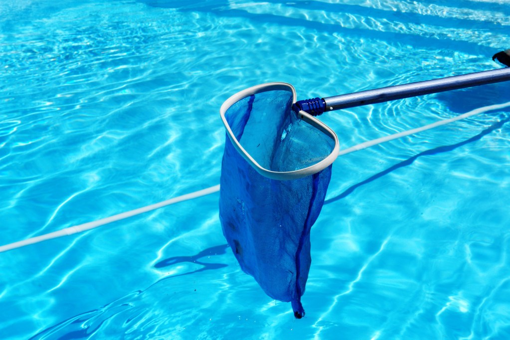Cleaning swimming pool with blue skimmer
