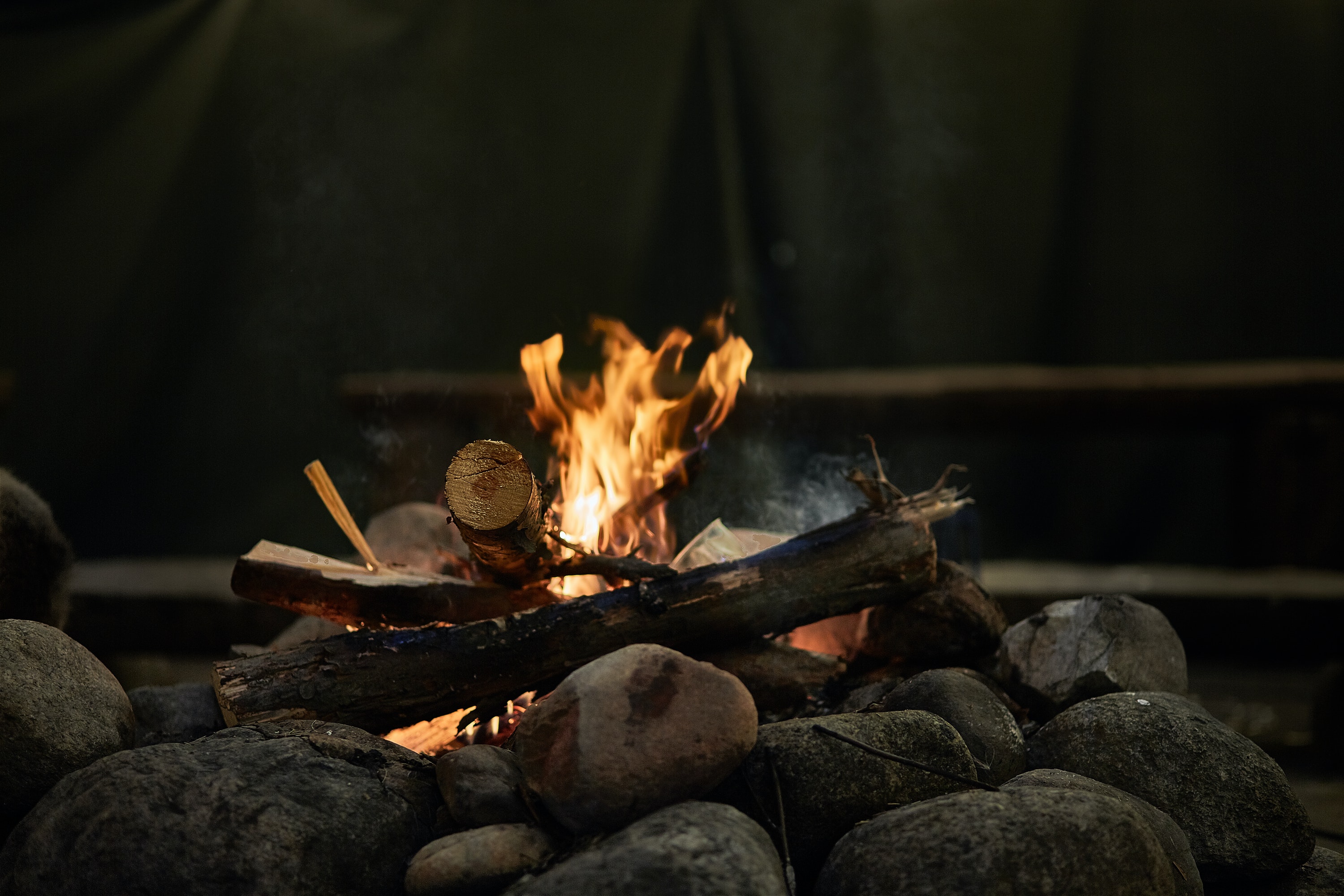 Campfire with stones and logs