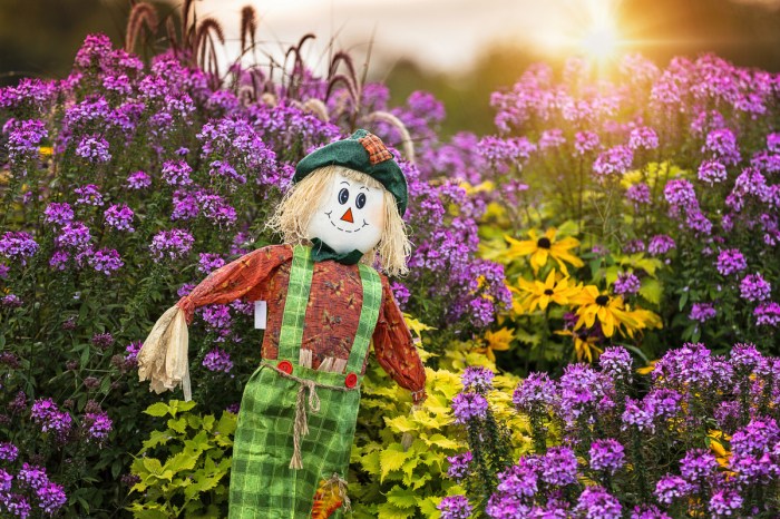 Scarecrow among fall flowers
