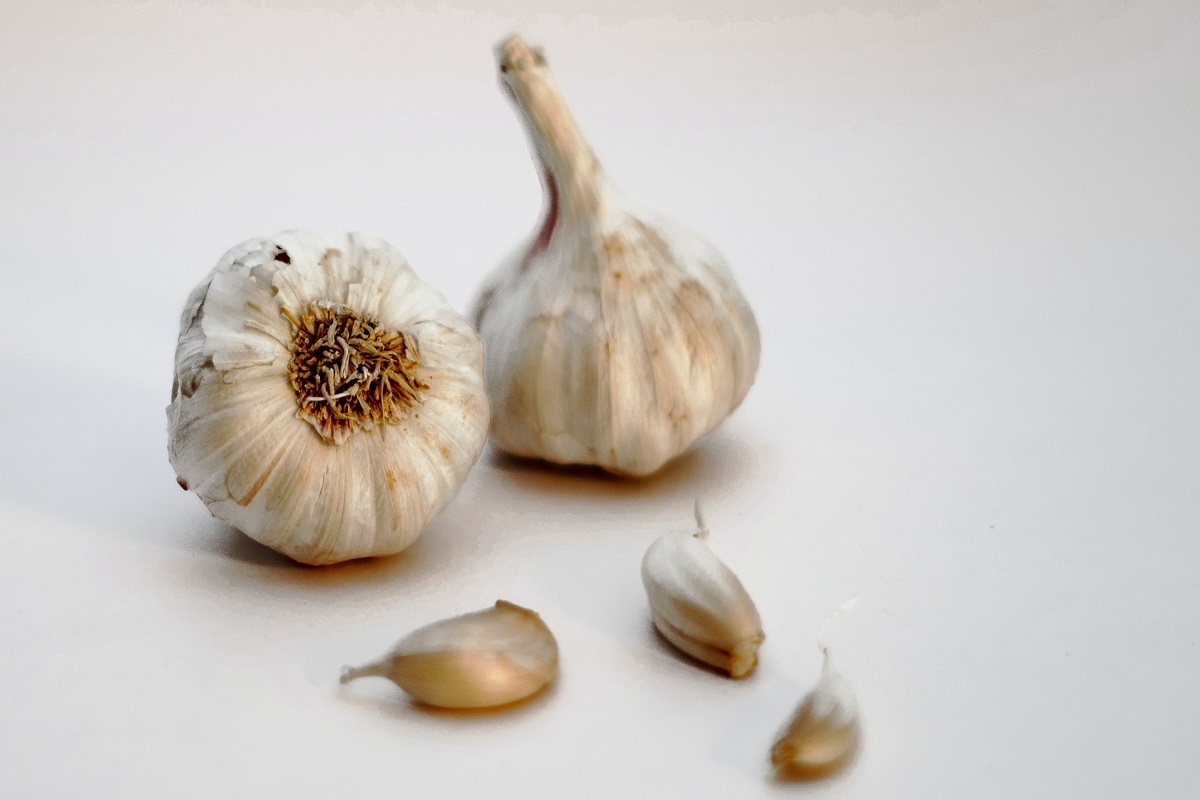 Two garlic bulbs on white background