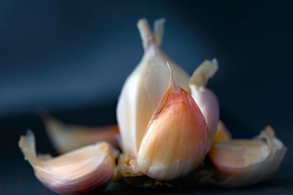A garlic bulb peeled and pulled partly apart, so the cloves are splayed like petals