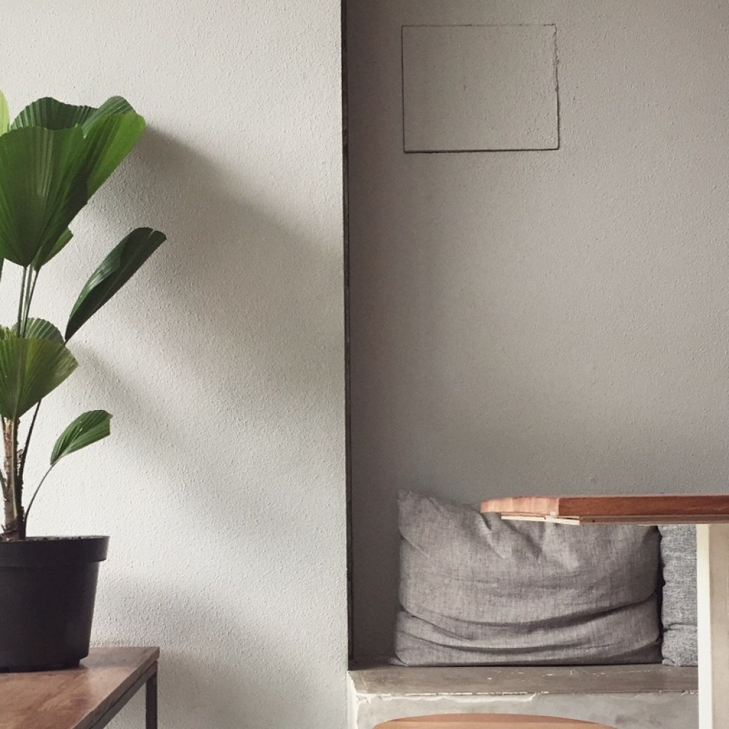 A large potted plant on a side table