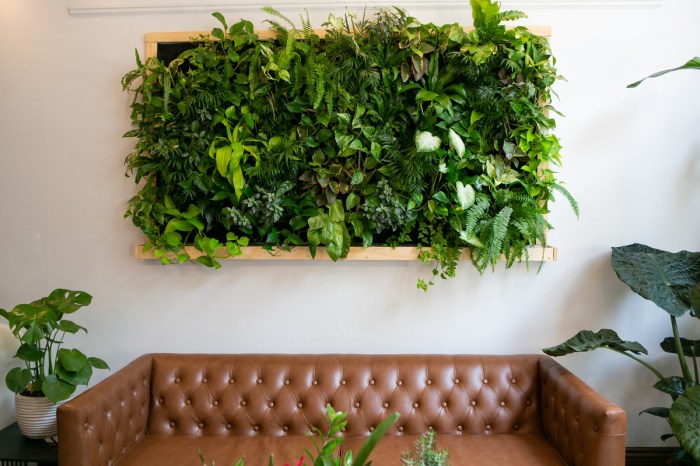 A living wall on a wall with a frame