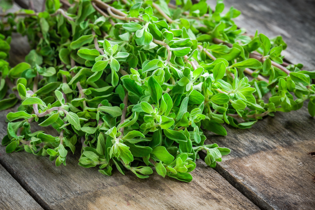 Marjoram on table