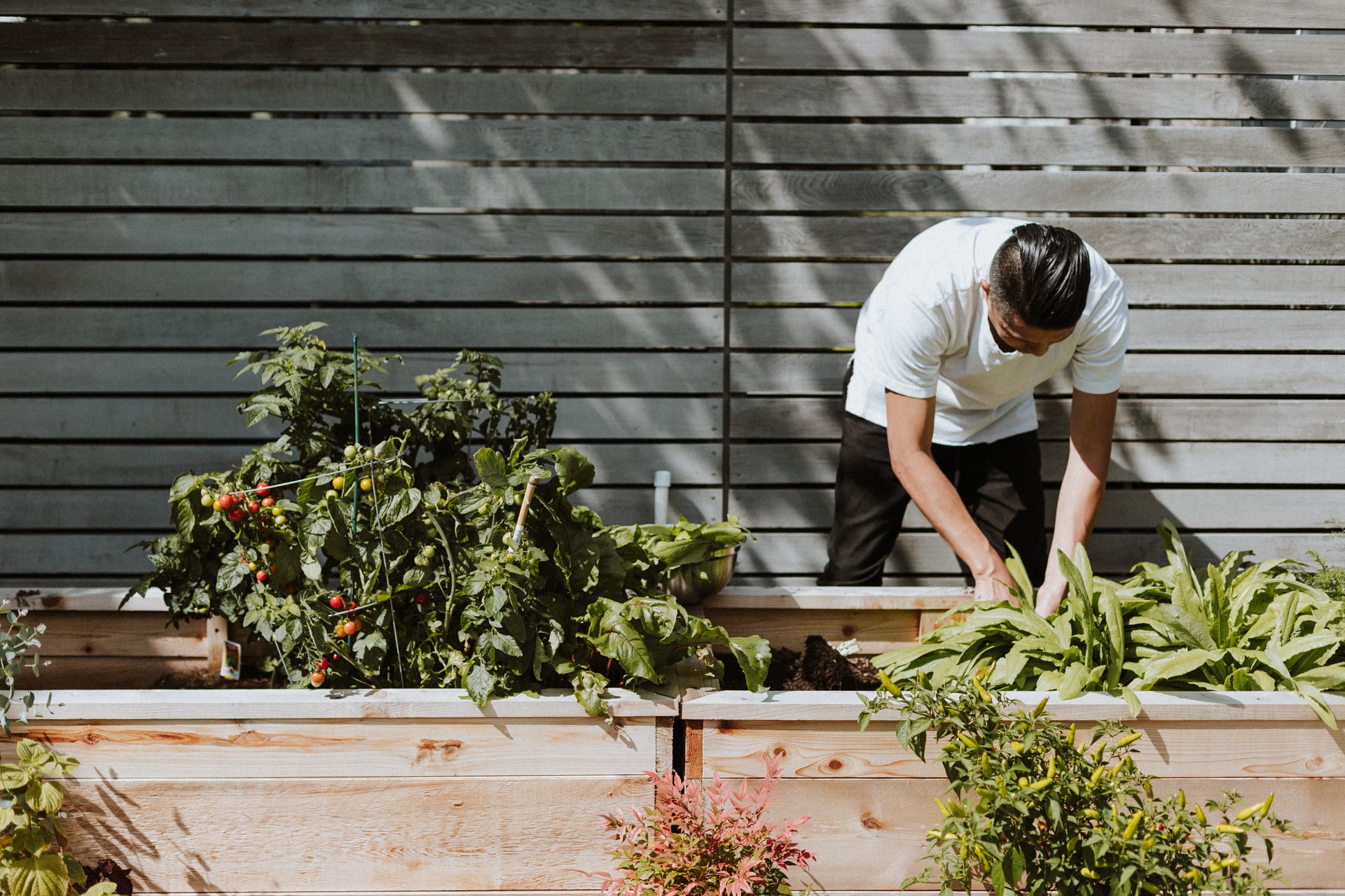 Gardener tending to the garden