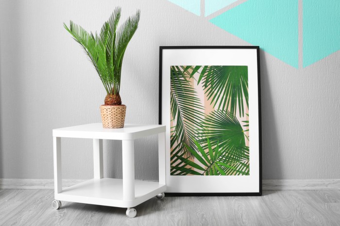 A sago palm as an accent plant