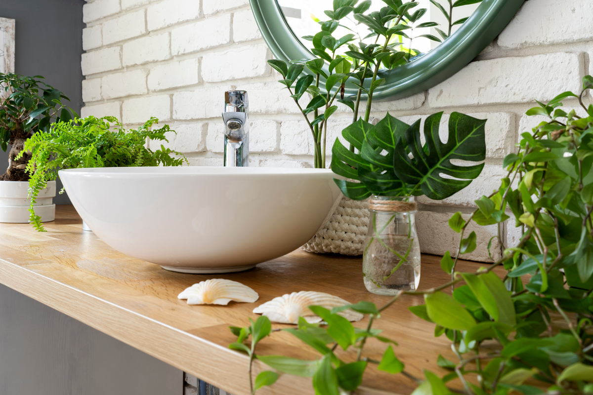 A plant collection on a bathroom sink counter