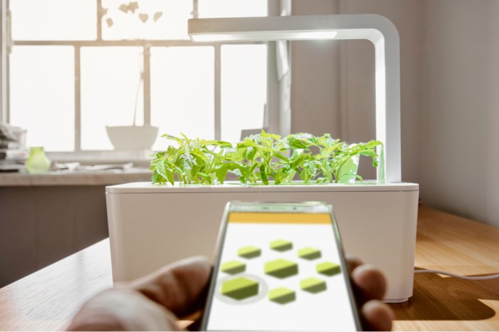 A smart garden being controlled via an app