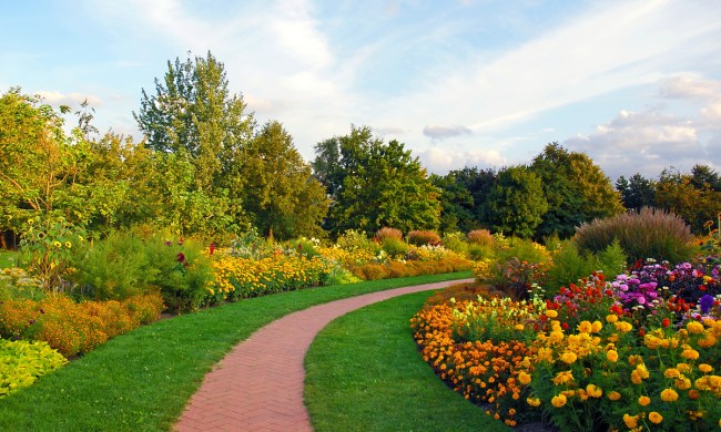 Blooming perennial flower garden along a walkway