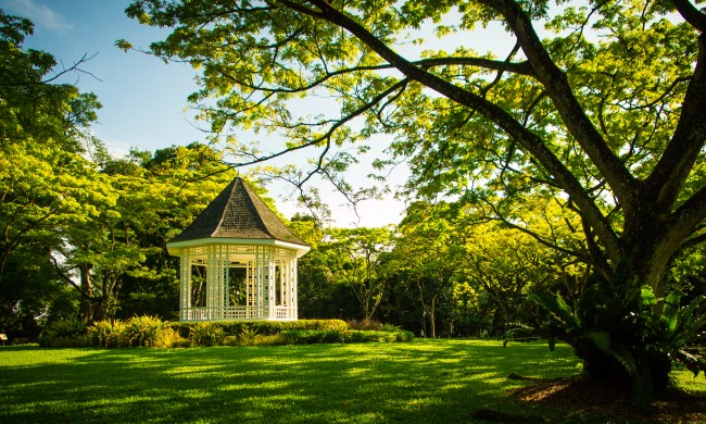 Gorgeous landscaped garden