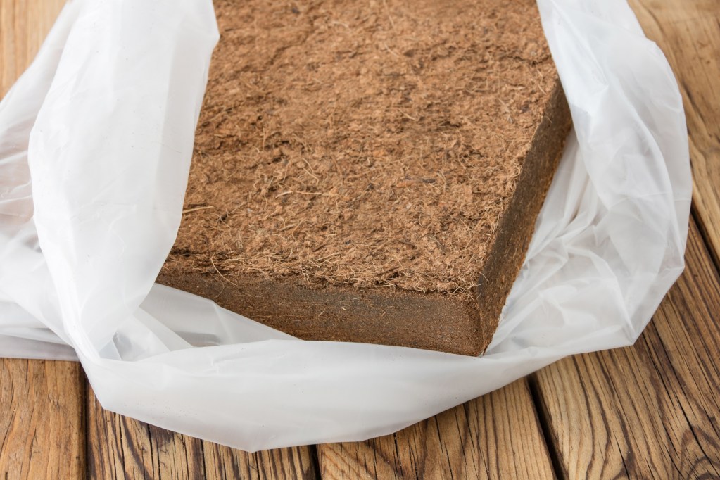 Coco brick