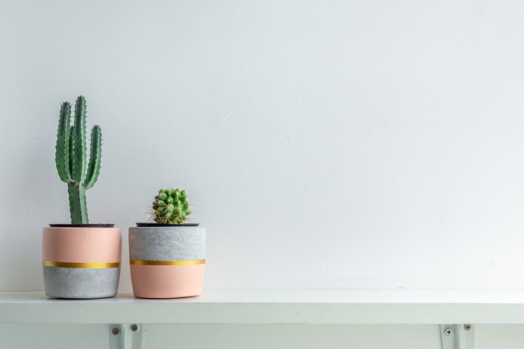 A pair of cute grey and coral handmade planters