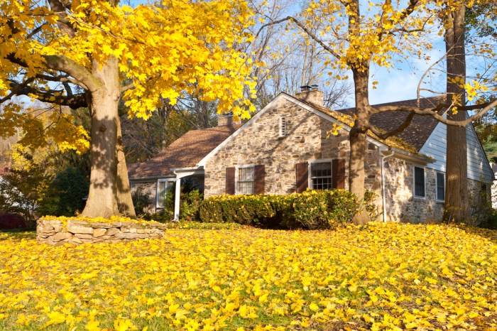 Stone house with yard full of golden leaves